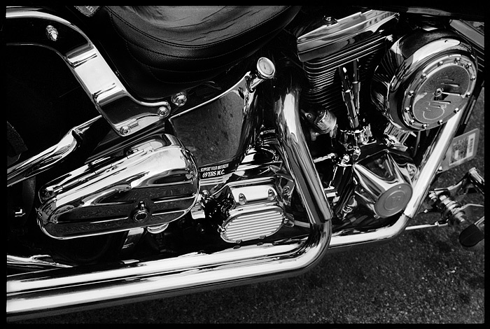 Leica_020208_25.jpg