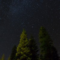 Yosemite-Sequoia-247