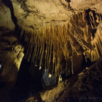 Yosemite-Sequoia-312