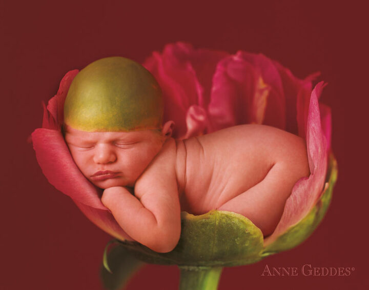 jacob-in-peony-anne-geddes