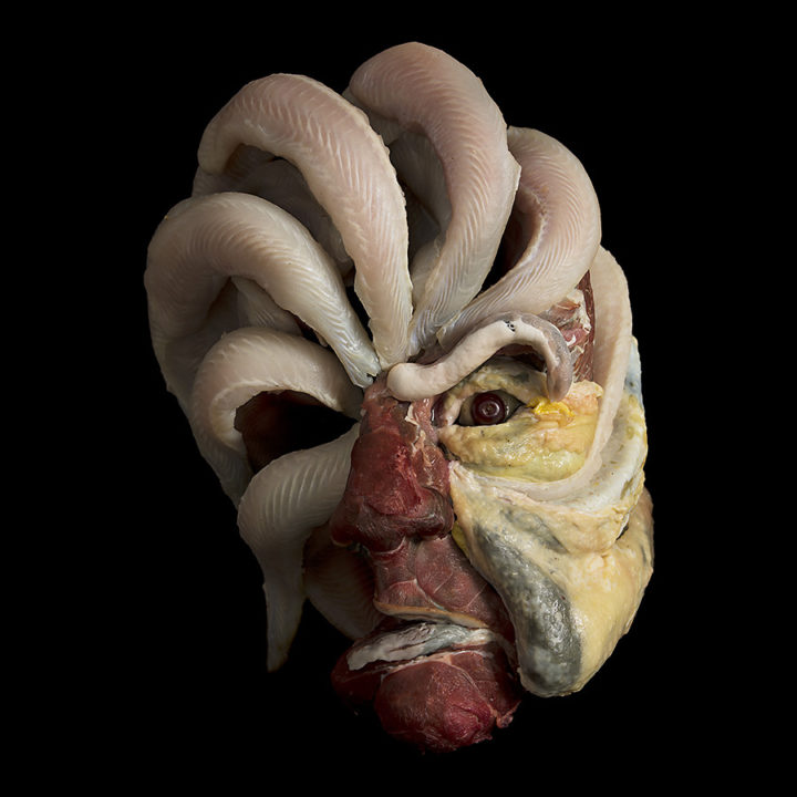 tumblr_o6fmiegpKj1r9hn2oo3_1280