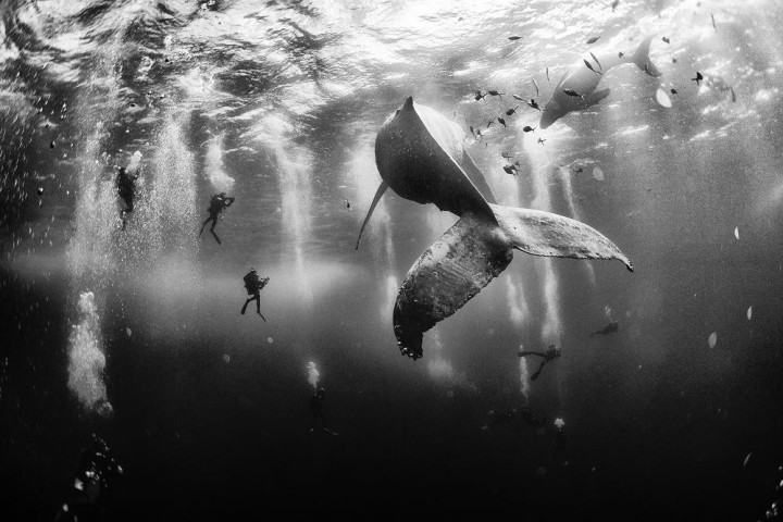 yourshot.nationalgeographic